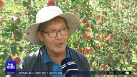 [포항] 평면 다축형 사과나무로..경북 사과농업 대전환한다