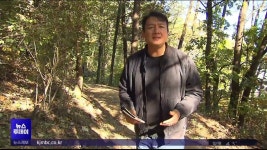 [원주] 숲속 둘레길에 4억 들여 조명.. 적절성 논란