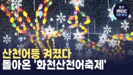 [춘천] 산천어등 켜졌다..돌아온 화천산천어축제