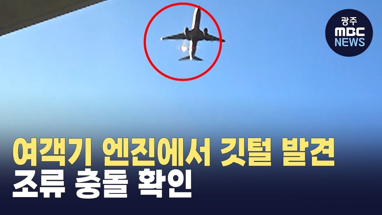 제주항공 참사, 가창오리 충돌로 인한 사고 조사 결과 발표