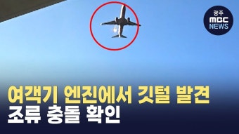 제주항공 여객기 엔진에서 깃털 발견..조류 충돌 확인