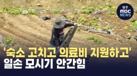 [춘천] 숙소 고치고 의료비 지원하고.. 일손 모시기 안간힘