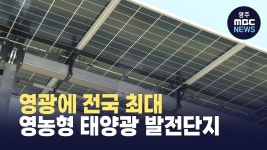영광에 전국 최대 영농형 태양광 발전단지