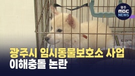 광주시 임시동물보호소 사업 이해충돌 논란