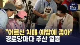 [포항] 어르신 치매 예방에 좋아요..경로당마다 주산 배우기 열풍