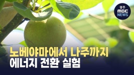 지속가능한 농촌, 태양광 위에 그리다“