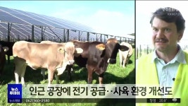 작물·가축 무럭무럭‥독일 영농형 태양광