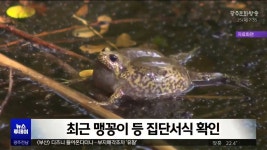 [전주] 한센인 아픔 간직한 돼지농장.. 생태복원 어떻게?