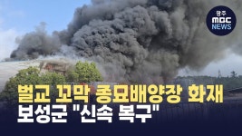 벌교 꼬막 종묘배양장 화재... 보성군 신속 복구