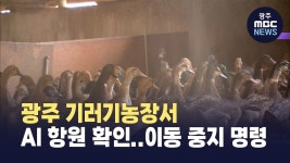 광주 기러기농장서 AI 항원 확인..이동 중지 명령