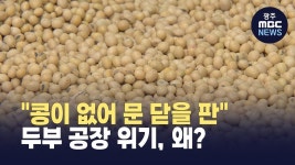 번암두부공장 | [강원영동] "두부 만들 콩이 없어 문 닫을 판" 두부 공장 위기, 왜?