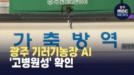 광주 기러기농장 AI, 고병원성 확인.. 전역 정밀검사