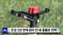 [강원영동] 3억 원 들인 가을꽃 단지 2년 만에 잡초밭 전락