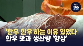 [원주] 한우 한우하는 이유가 있었다.. 30년 성과