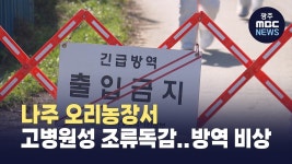 나주 오리농장서 고병원성 조류독감..방역 비상
