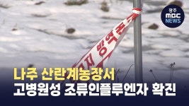 나주 산란계농장서 고병원성 조류인플루엔자 확진