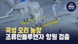 곡성 오리농장서 조류인플루엔자 검출.. 고병원성 확진