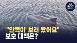 [강원영동] 