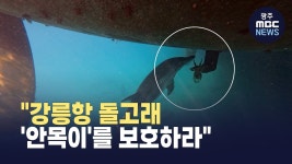 [강원영동] 