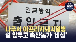 설 앞두고 나주서 아프리카돼지열병.. 축산농가 ‘비상’