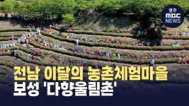 전남도, 이달의 농촌체험마을에 보성 다향울림촌