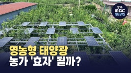 논밭 위 태양광 곧 활성화‥농가 소득원 될까?