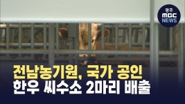 전남농기원, 국가 공인 한우 씨수소 2마리 배출