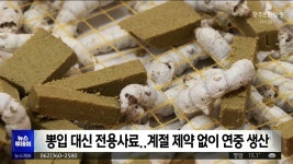 대한사료할인점.동아원사료안동총판사조 | [안동]누에도 스마트팜 시대..전용 사료로 연중 생산