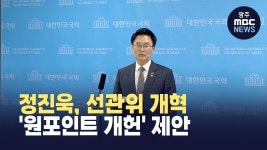 정진욱, 선관위 개혁 '원포인트 개헌' 제안