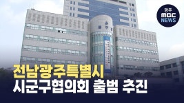 전남광주특별시 시군구협의회 출범 추진