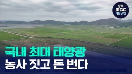 국내 최대 영농형 태양광… 미래 산업단지 꿈꾼다