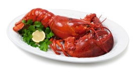 랍스터 가격이 코로나19로 수출이 막히면서 연중 최저가로 떨어졌다