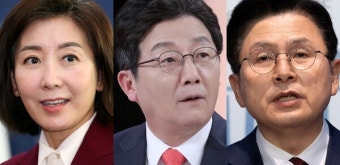 안양시 의회 국민의힘 의원 A씨 난동 사건, 대전시 의회 송씨 징계회부, 윤석열 탄핵 권한쟁의에 국민의힘 의원들 활발한 활동 소식