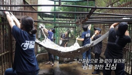 강원도 동해에 갇혀살던 반달곰 22마리의 사연을 담은 다큐멘터리 곰마워가 가슴이 뭉클해지는 감동을 전할 예정이다