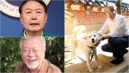 퇴임 6개월 되는 지금까지! 문재인 전 대통령이 풍산개 곰이·송강을 정부에 인도했고, 현재 동물병원에서 검진을 받고 있다