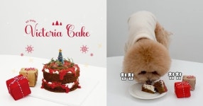 행복한 연말, 강아지와 함께 크리스마스 홈파티를 즐기는 노오븐 레시피 (ft. 개이크)