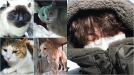 택시기사·동거녀 살해 이기영의 체포 후 방치됐던 반려동물 4마리에게 안락사 아닌, 너무나도 가슴 벅찬 반전이 찾아왔다