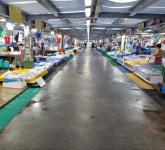 후쿠시마 오염수 방류 이튿날, 수산 시장은 한산하고 수산물 가격은 폭락하고 있어 어민들은 불안감을 감추지 못하고 있다