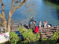 포천 저수지에 추락한 헬기가 사고 이틀 만에 인양됐고, 국과수는 헬기 조종사 부검 결과 익사로 추정된다고 밝혔다