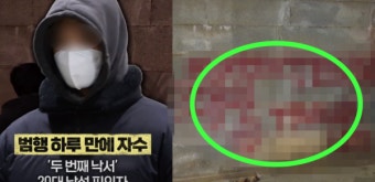 경복궁 담벼락 낙서 모방한 20대 남성이 