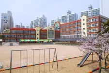 20년 전 졸업한 학생들이 한날한시에 초등학교 운동장에 우르르 모여들었고, 여기엔 감동적인 사연이 있어 가슴 찡~ 울린다