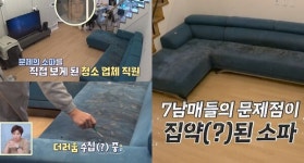 집에 갈까? 청소업체 직원도 깊은 한숨 내쉰 강아지 7남매의 화장실이 돼버린 소파: 공중화장실 변기보다 더러워 두 눈을 질끈 감게 된다