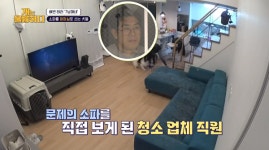 집에 갈까? 청소업체 직원도 깊은 한숨 내쉰 강아지 7남매의 화장실이 돼버린 소파: 공중화장실 변기보다 더러워 두 눈을 질끈 감게 된다