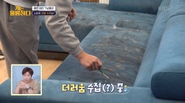 집에 갈까? 청소업체 직원도 깊은 한숨 내쉰 강아지 7남매의 화장실이 돼버린 소파: 공중화장실 변기보다 더러워 두 눈을 질끈 감게 된다