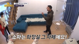 집에 갈까? 청소업체 직원도 깊은 한숨 내쉰 강아지 7남매의 화장실이 돼버린 소파: 공중화장실 변기보다 더러워 두 눈을 질끈 감게 된다