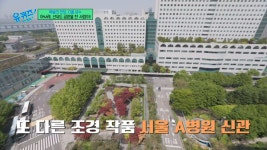맘 편히 엉엉.. 83세 현역 조경사가 서울 아산병원 조경할 때 울창한 나무 그늘 만든 이유: 울컥하고 치유받는 느낌이 든다(유퀴즈)