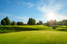 4m 앞에서..! 이천 골프장 라운딩 나온 60대 여성이 급작스레 숨진 이유는 듣고 나니 눈앞이 깜깜해진다