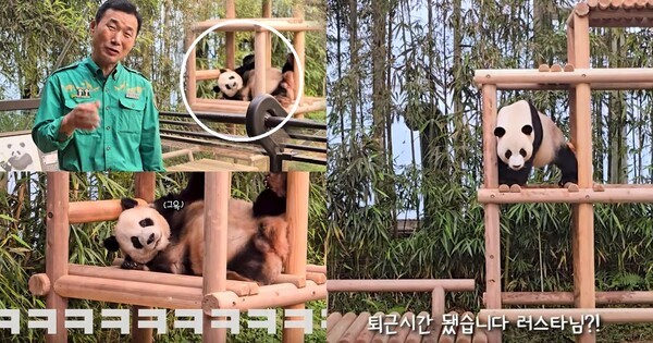 강철원, 주키퍼 출신의 새로운 영화배우로 눈길 집중안녕, 할부지로 감동 예고