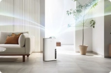 제습기 유목민 주목! NCSI 국가고객만족도 10년 연속 1위, 사계절 활용 가능한 궁극의 제습기는 무엇?