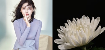 서희원과 구준엽의 마지막 투 샷: 너무 애틋해 세상 떠나기 10일 전이라는 게 안 믿긴다(사진)